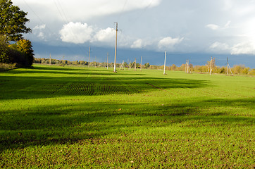 Image showing agricultural field plants grow electricity pole 