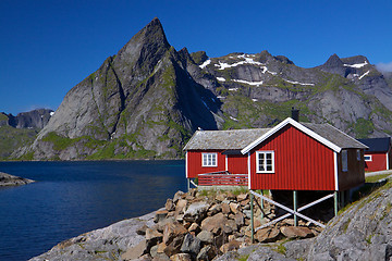 Image showing Rorbu hut on Lofoten