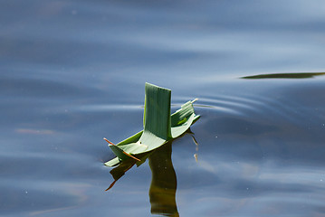 Image showing Reed boat