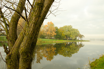 Image showing morning mystical river lake and tree drown in fog 