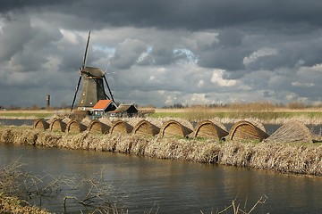 Image showing Cloudy Holland