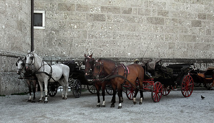 Image showing cabs in Salzburg