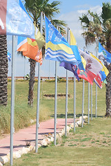 Image showing Different flags row.on  windsurfing station in Alacati, Turkey