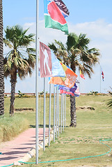 Image showing Different flags row.on  windsurfing station in Alacati, Turkey