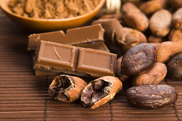 Image showing Cocoa (cacao) beans with chocolate