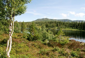 Image showing Mountain landscape