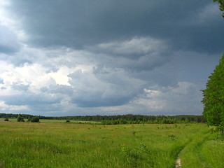 Image showing beautiful landscape with young pines