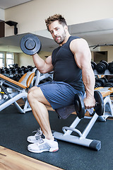 Image showing bodybuilding man