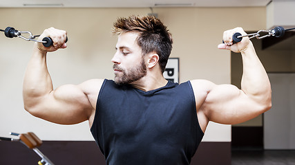 Image showing bodybuilding man