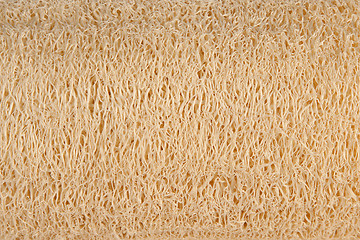 Image showing Natural luff sponge texture