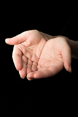 Image showing Hands #17