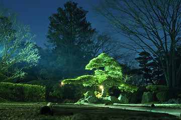 Image showing night garden