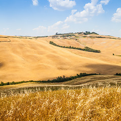 Image showing Country in Tuscany