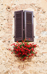 Image showing Windows in Tuscany