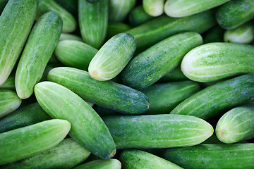 Image showing Cucumbers background