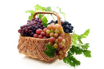 Image showing Basket of grapes on a white background.