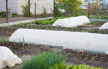 Image showing Preparation of the garden before frost