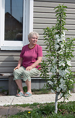 Image showing Woman admires blossoming garden