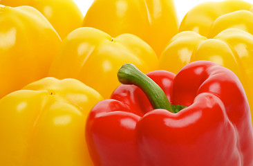 Image showing Red and Yellow Bell Peppers