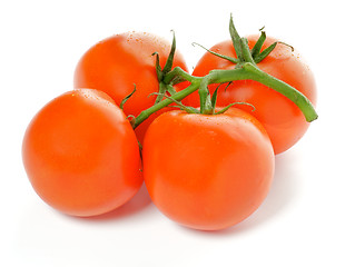 Image showing Four Fresh Tomatoes