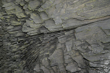 Image showing charred wood detail