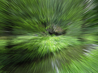 Image showing Green unusual background