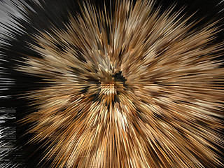 Image showing Brown explosion