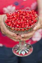 Image showing Bowl of wild strawberries