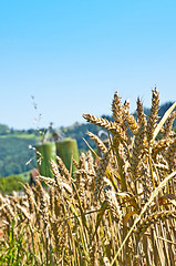 Image showing Weizen mit Silo im Hintergrund