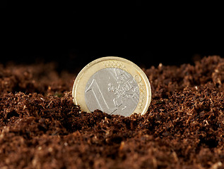 Image showing euro money growing in the ground 