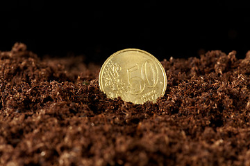 Image showing euro money growing in the ground 