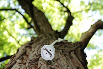 Image showing Extension cord on a tree for renewable Energy