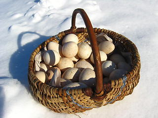 Image showing Basket with eggs costing on a snow