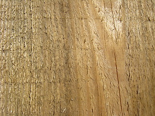 Image showing Pattern on a cut of a tree