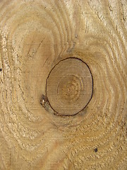 Image showing Pattern on a cut of a tree