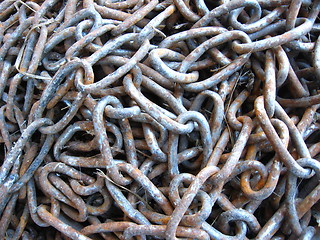 Image showing Sheaf of chains