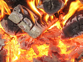 Image showing Fire wood burning in the furnace