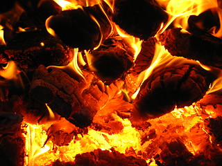 Image showing Fire wood burning in the furnace