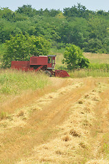 Image showing Combine harvesting