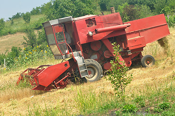 Image showing Combine harvesting