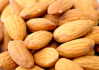 Image showing almond