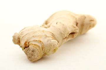 Image showing ginger root