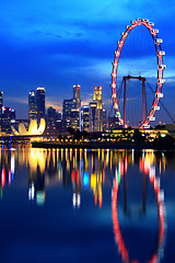 Image showing Singapore downtown at night