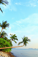 Image showing landscape in sentosa, Singapore