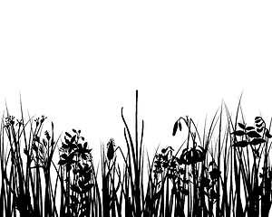 Image showing meadow silhouettes