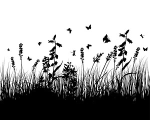 Image showing meadow silhouettes