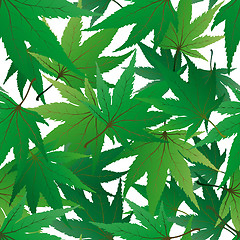 Image showing seamless maple leaves