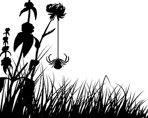 Image showing meadow silhouettes