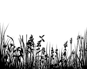 Image showing meadow silhouettes