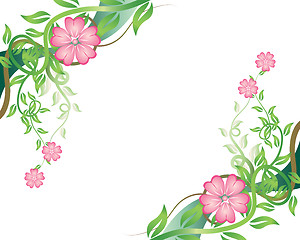 Image showing floral background